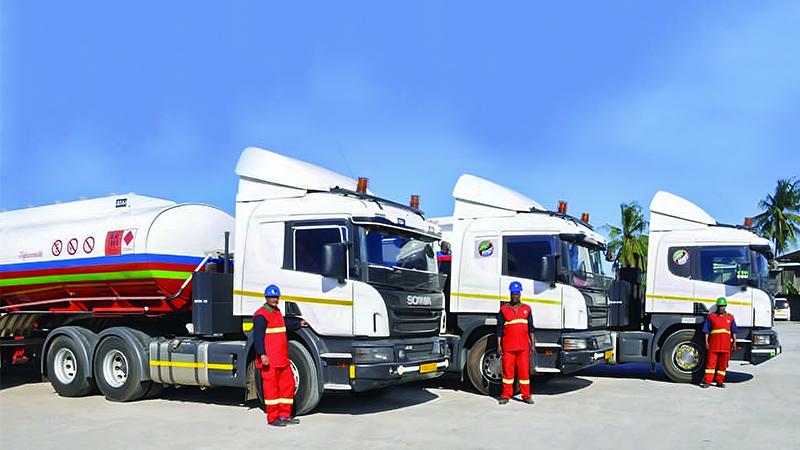 image of Embark Guardian